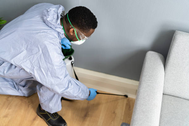 Trusted Jonesboro, LA Pest Control Experts